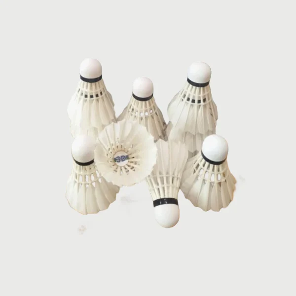 3 Dimension SHUTTLE (3) 3 Dimension SHUTTLE