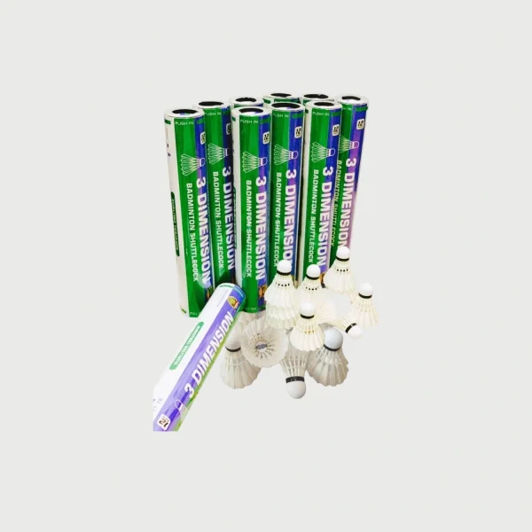 3 Dimension SHUTTLE (5) 3 Dimension SHUTTLE