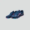 HUNDRED SHOE (2) Hundred Shoe