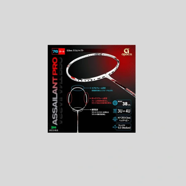 APACS Assailant pro (4) APACS Assailant Pro