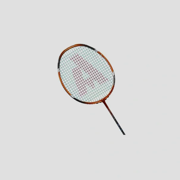 ASHAWAY Palladium XT 96 (2) ASHAWAY Palladium XT 96