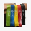 Resistance Band (5 Piece Set)